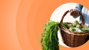 Traçabilité des aliments : enjeux, obligations & bonnes pratiques